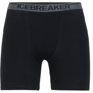 2400000932161_b_m_anatomica_long_boxers_icebreaker_110