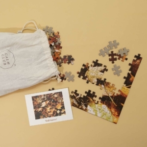 fall-leaves-puzzle-1