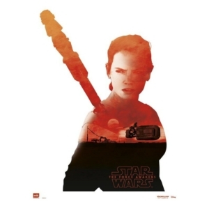 mini-poster-star-wars-rey