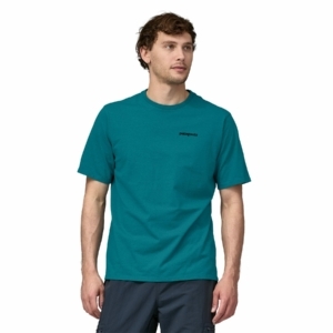 ms-p-6-logo-responsibili-teer-recycled-cotton-shirt-patagonia-belay-blue-s-763589_2048x2048