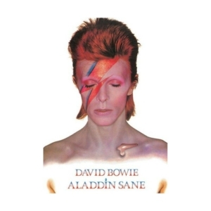 poster-david-bowie-alladin-sane