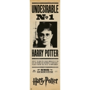 poster-puerta-harry-potter-indeseable-n1