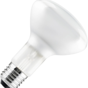 reflectorlamp_r95_ba1b