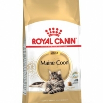 royal-canin-fbn-maine-coon-adult-katzentrockenfutter-3182550710640_600x600