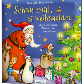 schau-mal-es-weihnachtet-isbn-978-3-480-23825-5