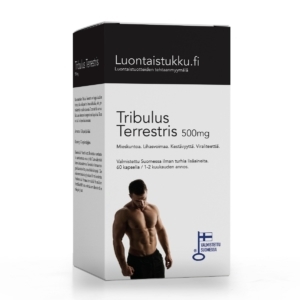 tribulus_terrestris